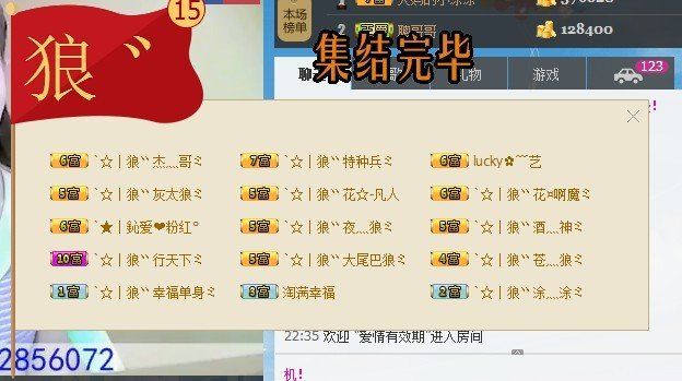 傲娇的胖胖猫的图片
