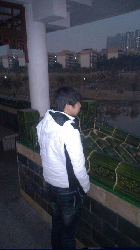 傲娇的胖胖猫的图片