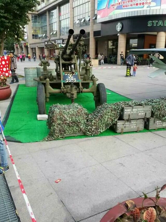 傲娇的胖胖猫的图片