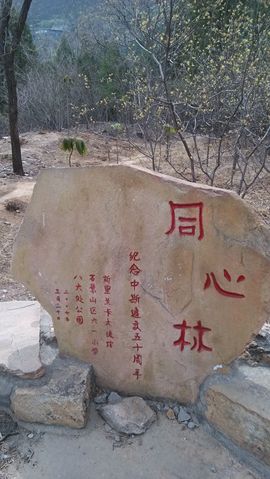 [无微]主播照片