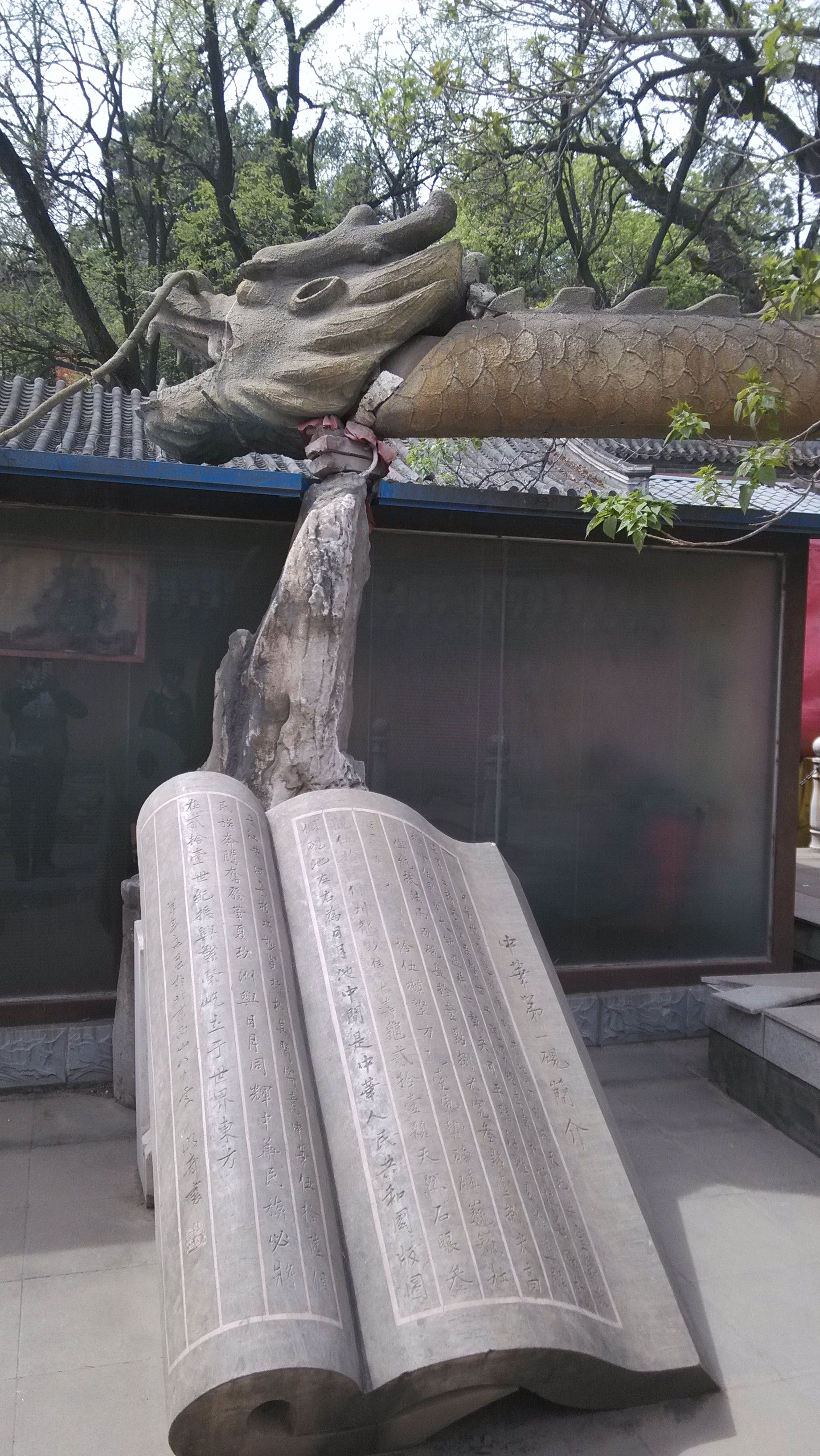 [無(wú)微]的主播照片