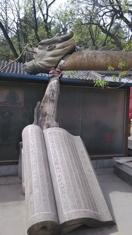 [无微]主播照片
