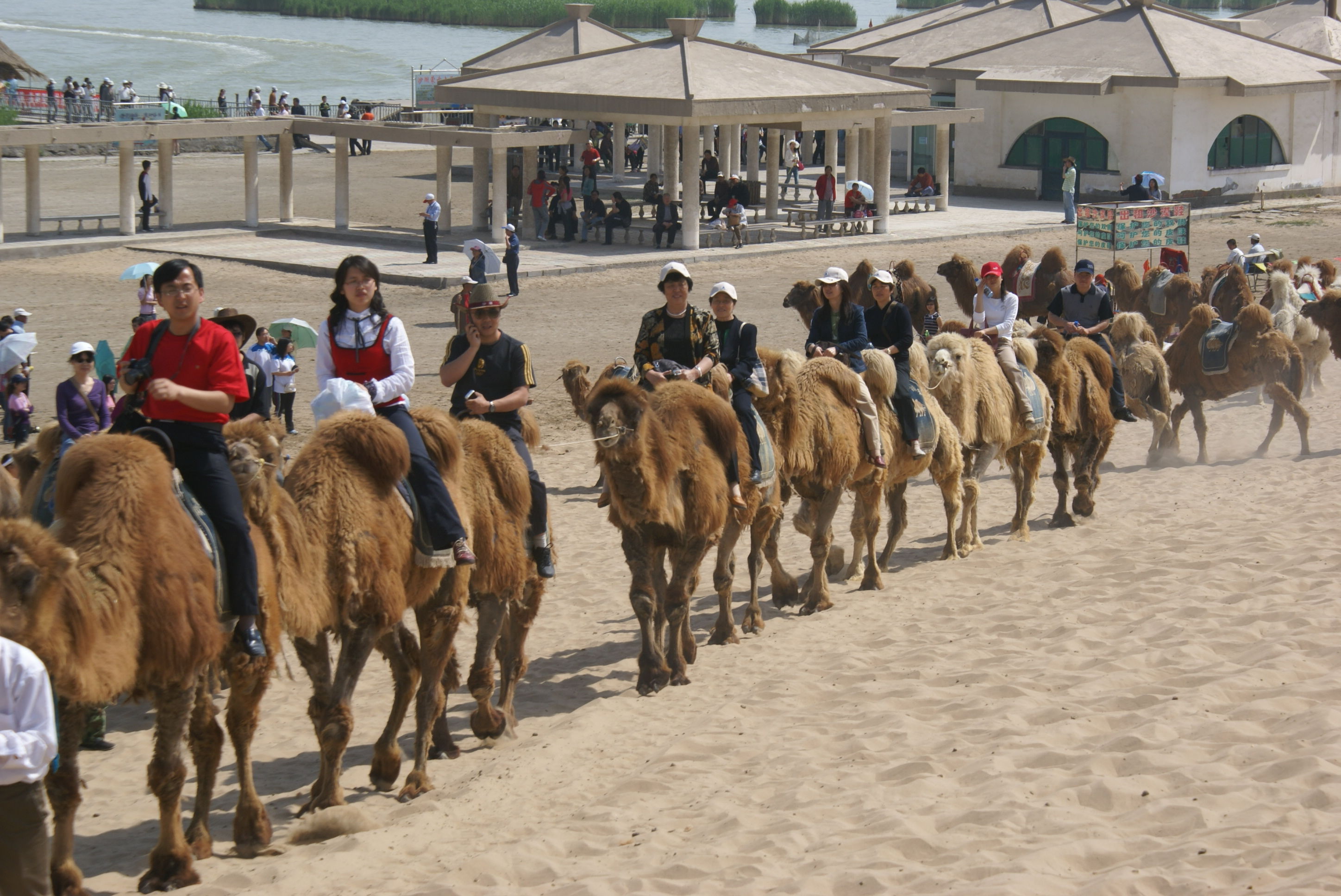 飞机场等船的主播照片