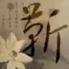 我是你大伯i