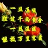 为爱疯狂2*的头像
