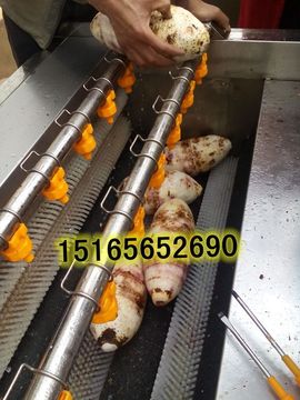 食品机械厂家直供主播照片