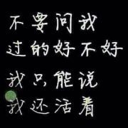 linnei郑炳泉