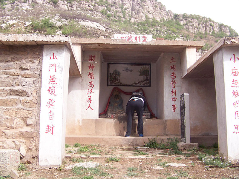 折翼的蚊子的图片