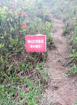 ☜2022与你同行☞主播照片