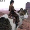 魅儿灬驸马爷