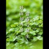 华SIR