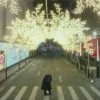 【黎】少