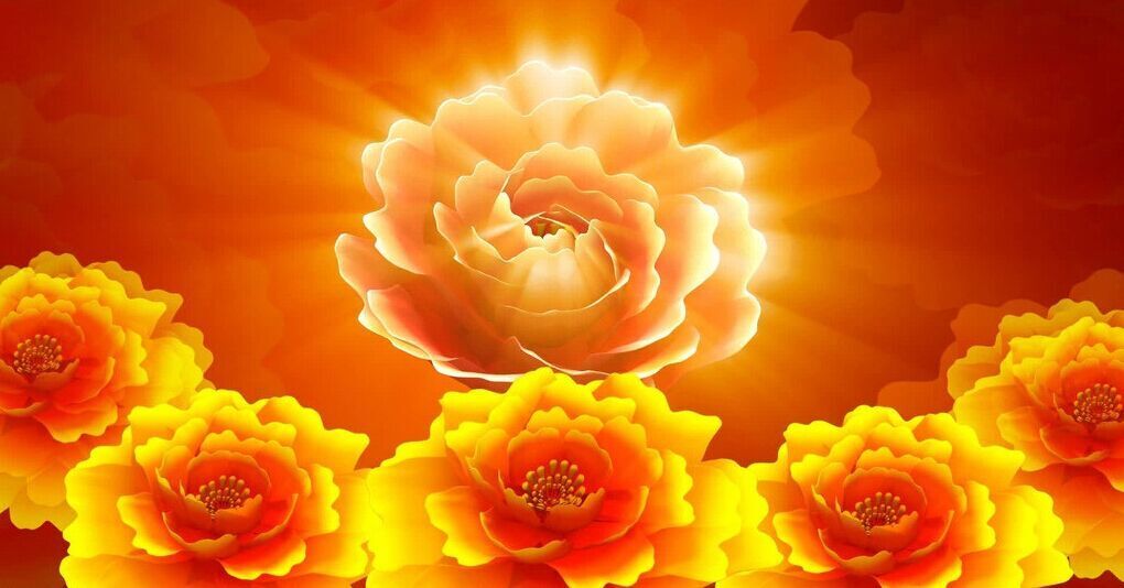 ；五阿哥；的主播照片