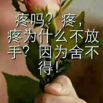 轮回爱人