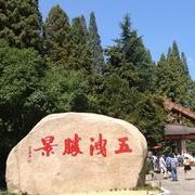 谷之雨