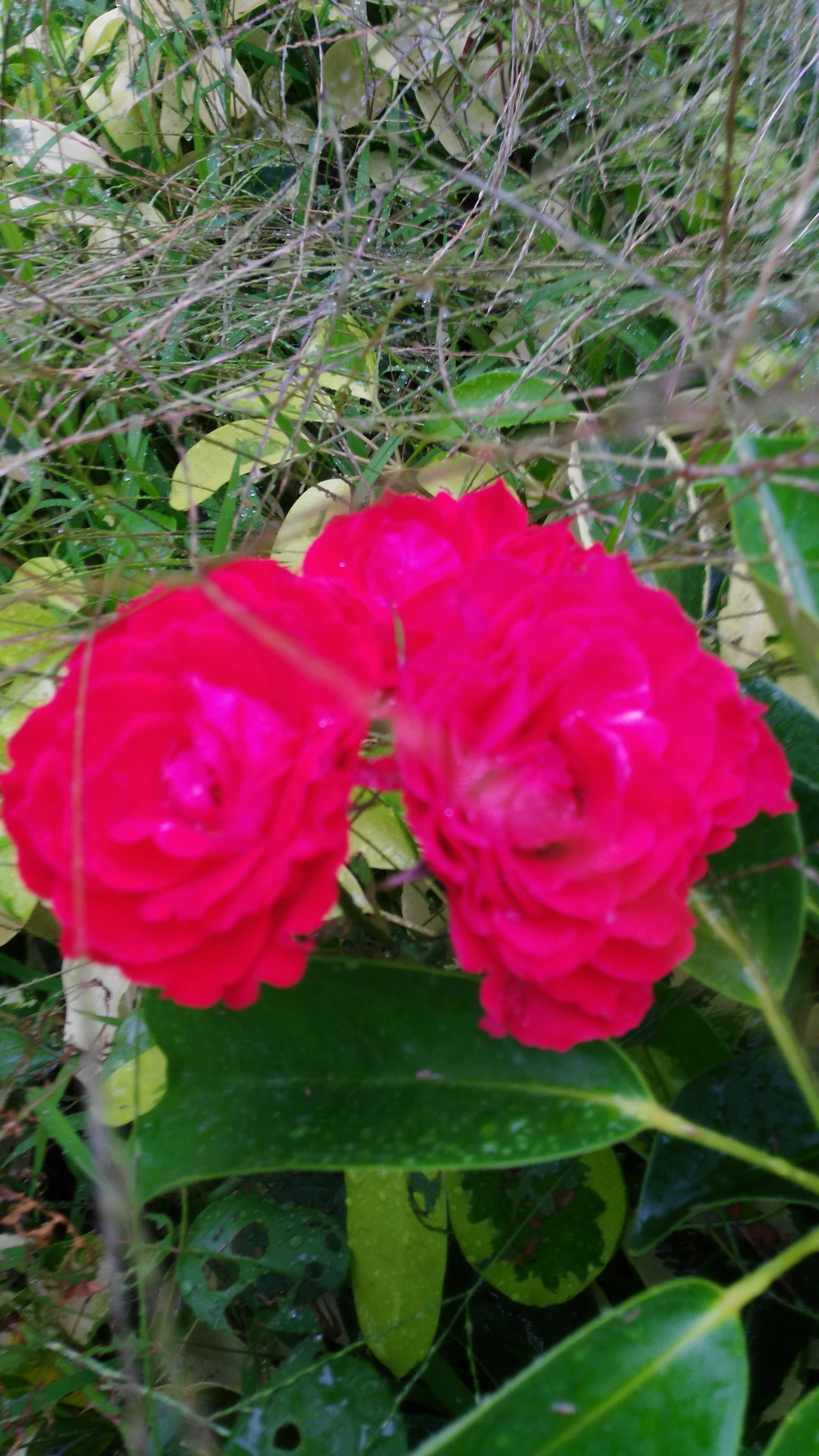 东盟1961土特产的主播照片