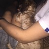 执子之手cb
