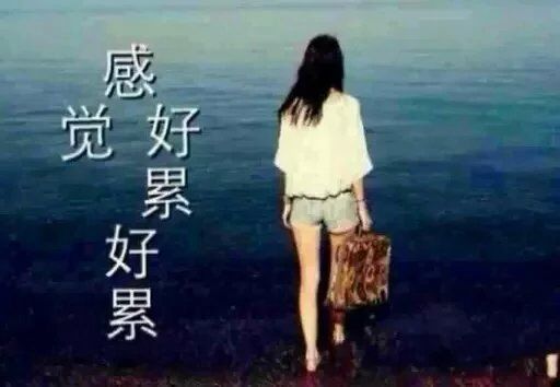 ♩♪綉気♫♬的主播照片