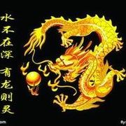 歌伴游龙海报