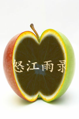怒江雨主播照片