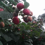微信_2861889