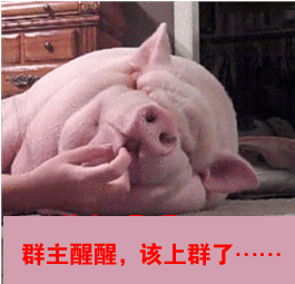 🏄得瑟拽爷的主播照片
