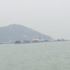 等待缘份g的头像