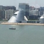 青春无期限w