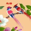 谁懂我心js海报