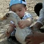 飞鸟儿67koqw海报