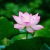 追风え海报