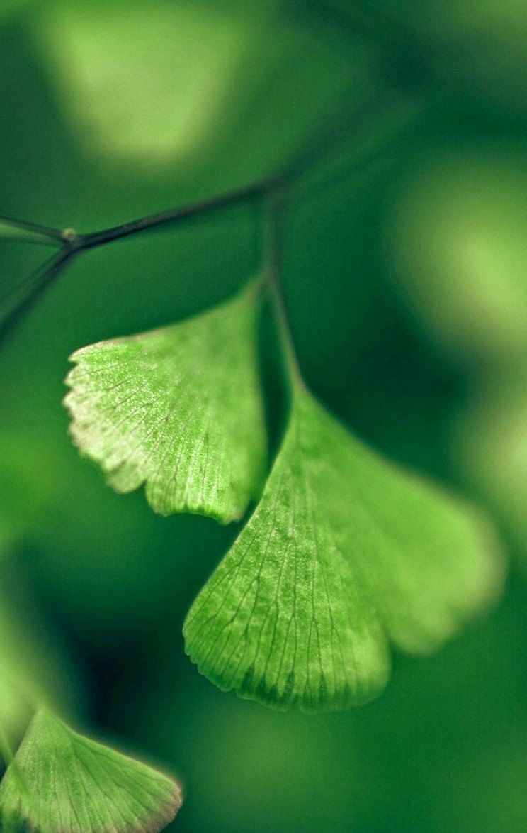 ⌒☆无颜的香⌒☆的主播照片