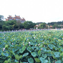 ～明天会更好