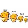 某亽硪℡愿意娶