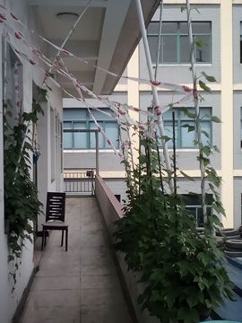 我好爱你你好满意主播照片