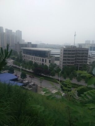 那些花兒。。的主播照片