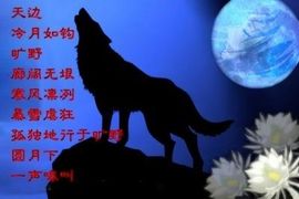 心⑥随②你⑨远⑨行主播照片