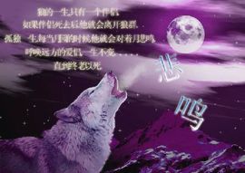 心⑥随②你⑨远⑨行主播照片