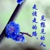 单身人士h