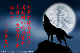 9527豪★情主播照片