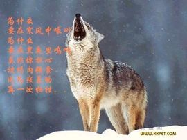 9527豪★情主播照片
