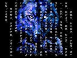 9527豪★情主播照片