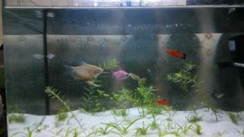 dove110227主播照片