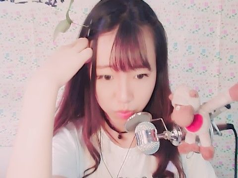 ♫♫♬我是小麋鹿XD的主播照片