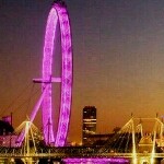 丿花丨灬無★風