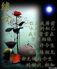 ❤弄丢了自己❤主播照片