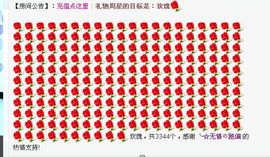 婉云👒欢快主播照片