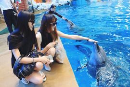 为爱♥♡灬停留主播照片