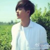 会痛的石头
