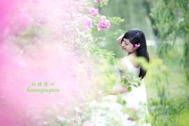 茶筝雅韵7主播照片
